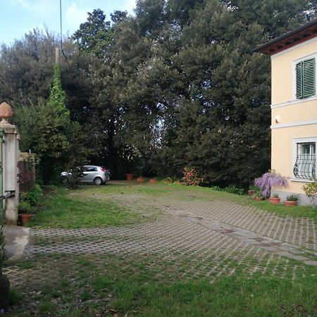 Villa La Dogana B&B Di Charme - Historic Villa With A Beautiful Garden Lukka Zewnętrze zdjęcie