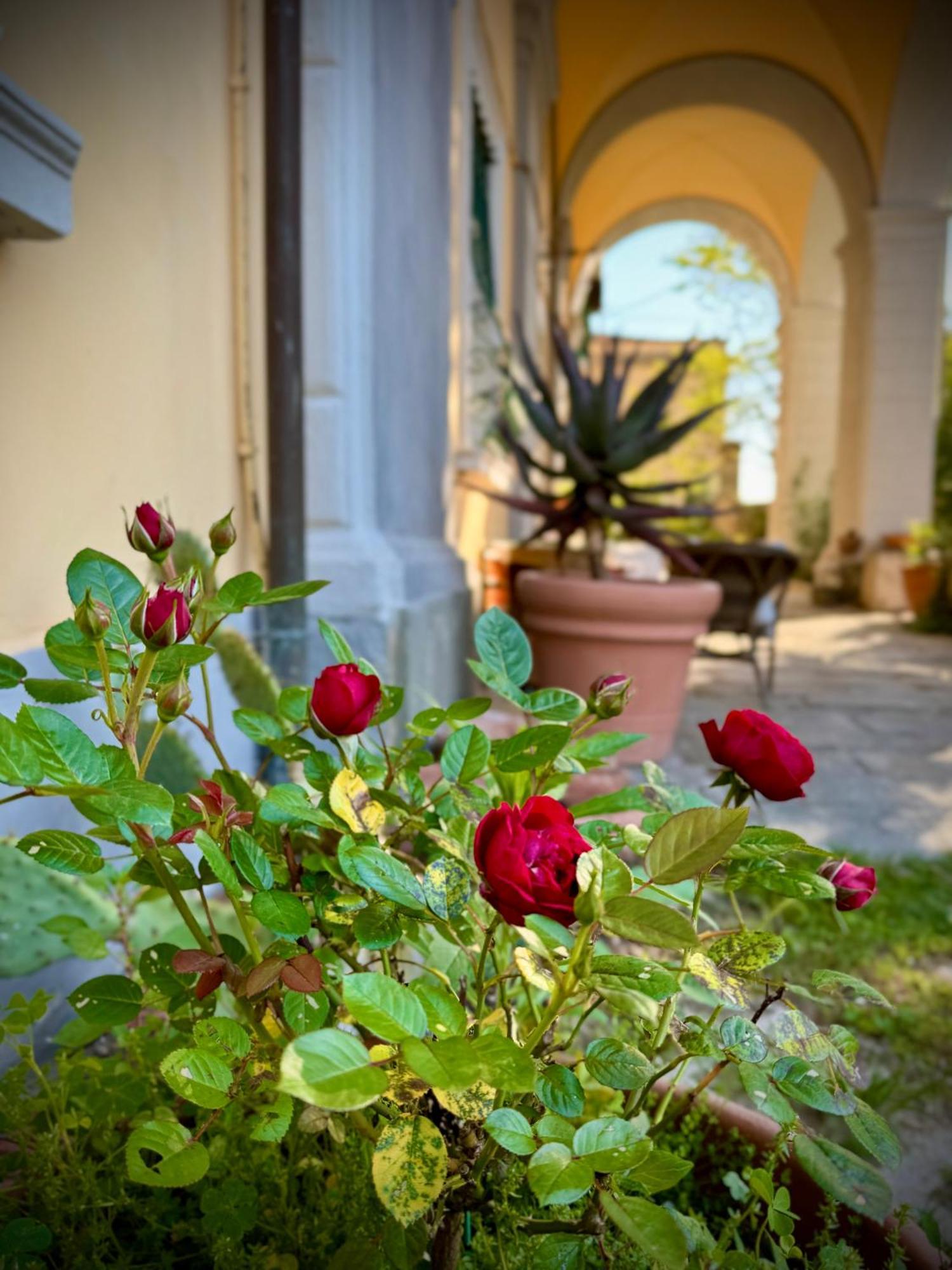 Villa La Dogana B&B Di Charme - Historic Villa With A Beautiful Garden Lukka Zewnętrze zdjęcie