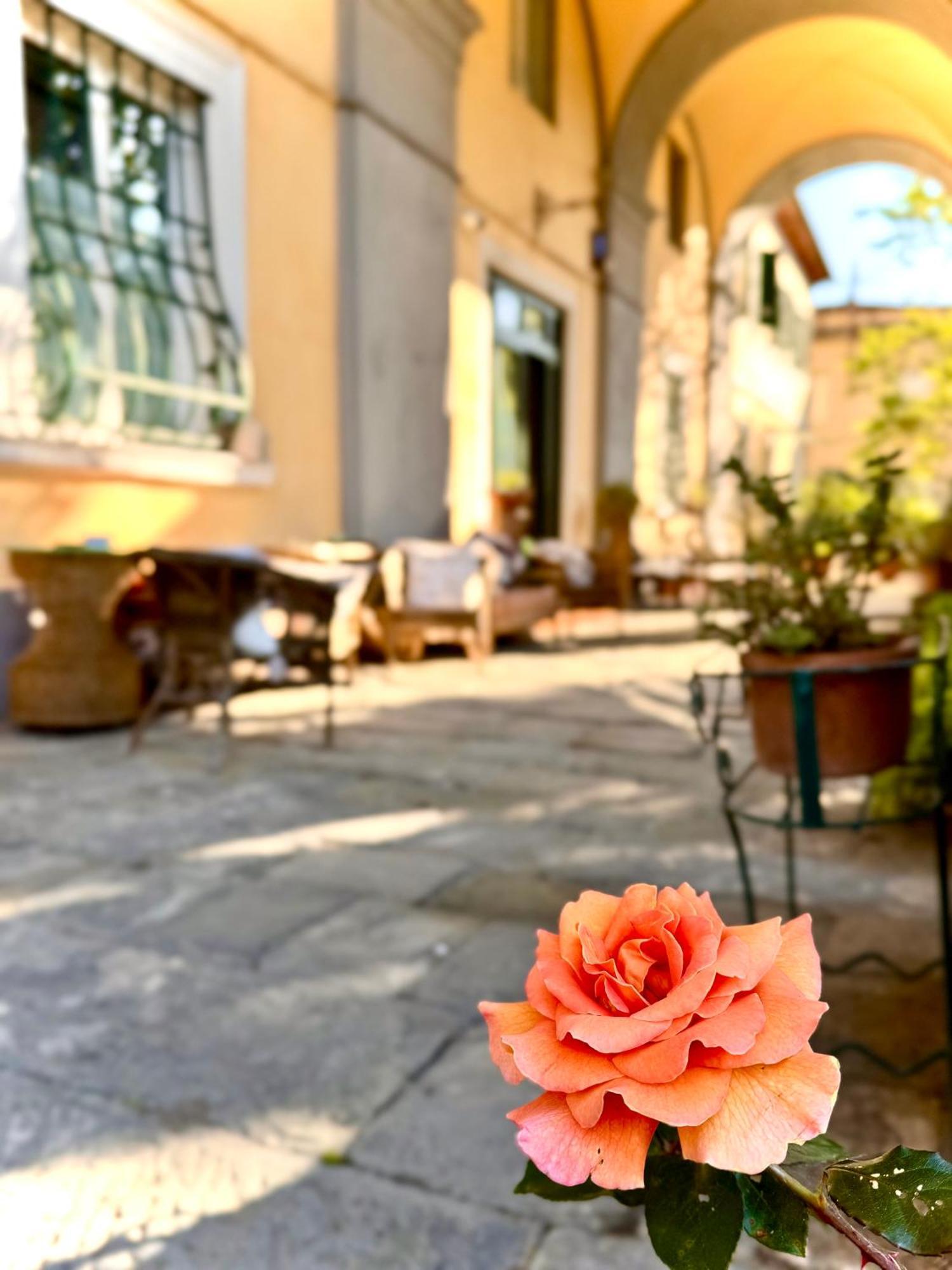 Villa La Dogana B&B Di Charme - Historic Villa With A Beautiful Garden Lukka Zewnętrze zdjęcie