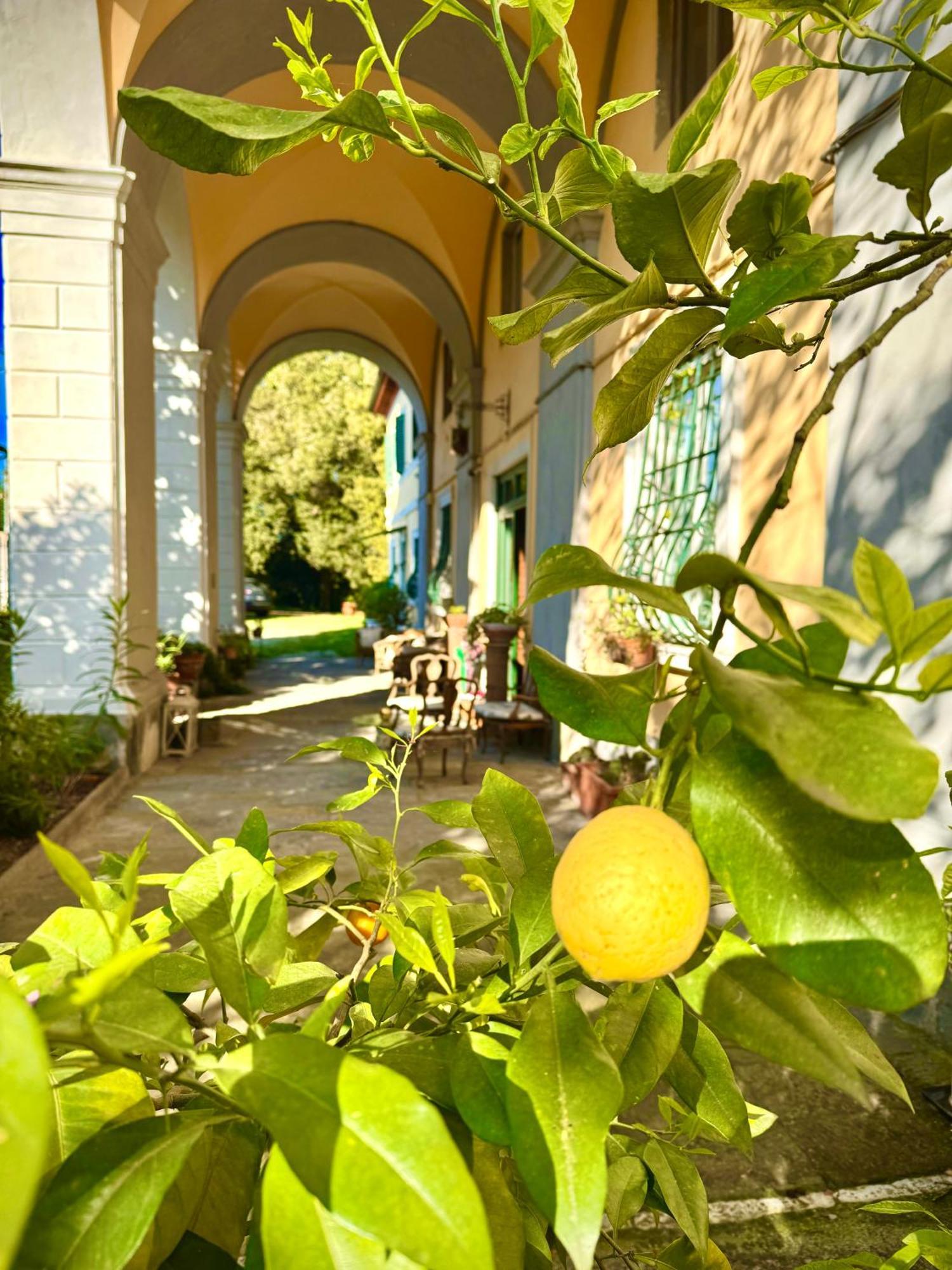 Villa La Dogana B&B Di Charme - Historic Villa With A Beautiful Garden Lukka Zewnętrze zdjęcie