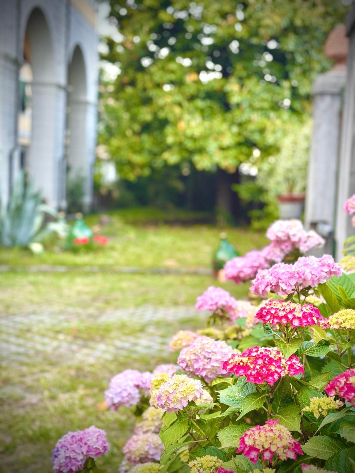 Villa La Dogana B&B Di Charme - Historic Villa With A Beautiful Garden Lukka Zewnętrze zdjęcie